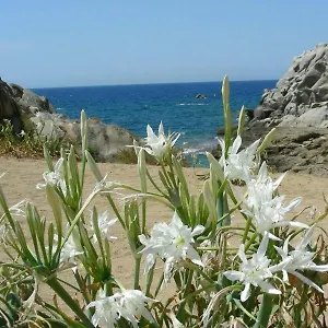 giglio-di-mare-marzamemi.sicilyhotelsitaly.net/